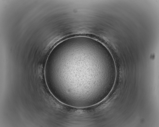 X0000090631265200707241144