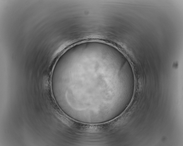X0000090631266200707241144