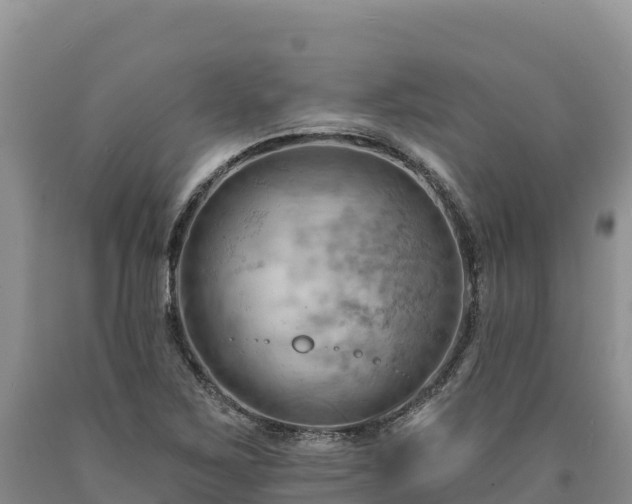 X0000090631267200707241144