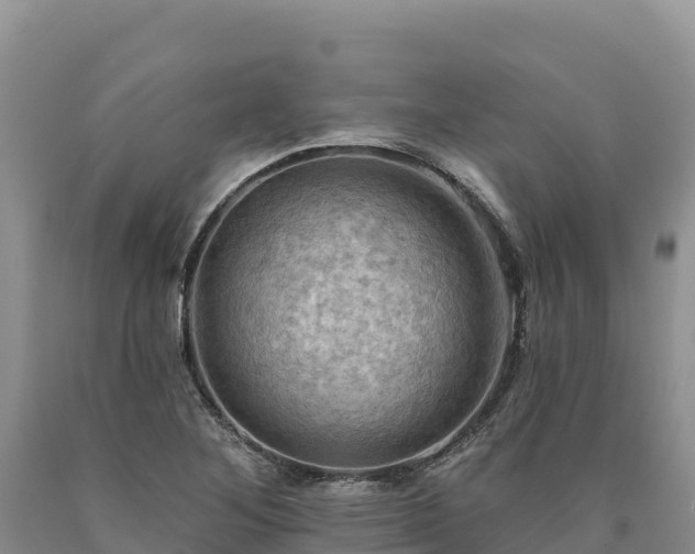 X0000090631268200707241144