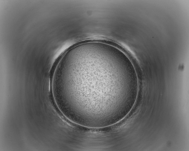 X0000090631269200707241144
