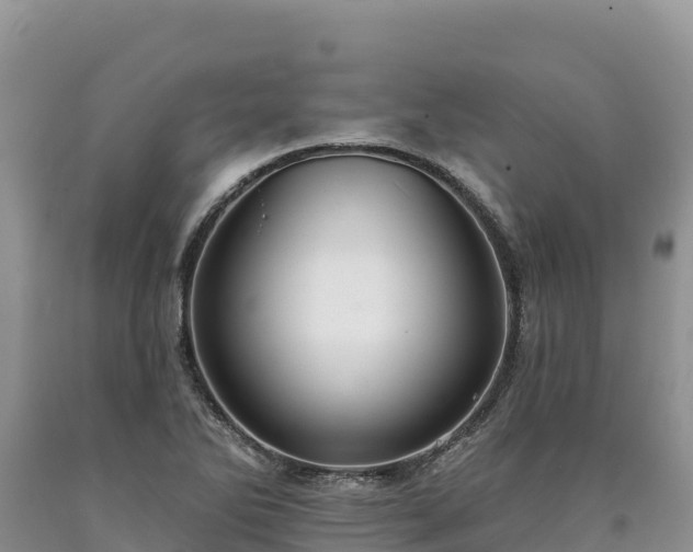 X0000090631270200707241144