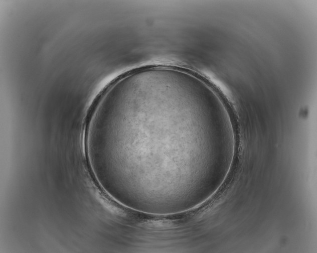 X0000090631272200707241144