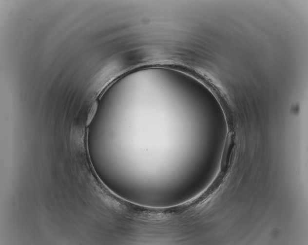 X0000090631273200707241144