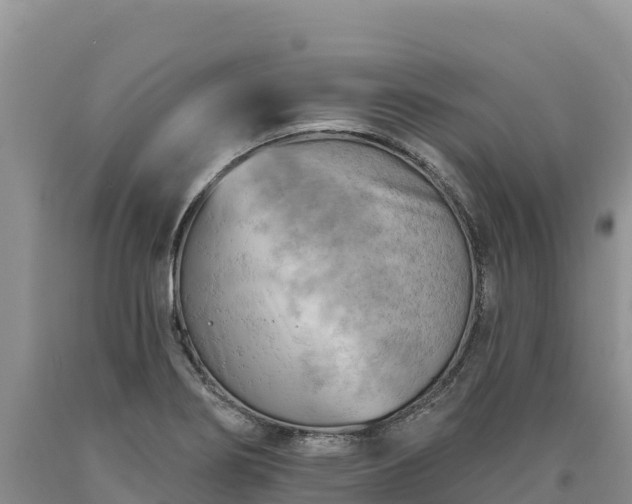 X0000090631274200707241144