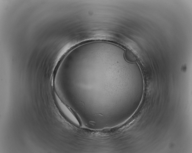 X0000090631275200707241144