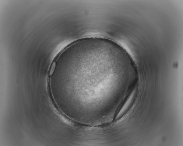 X0000090631277200707241144