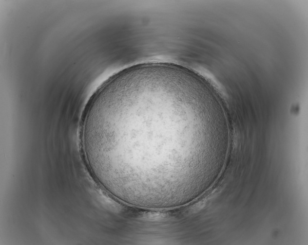 X0000090631278200707241144