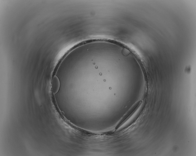 X0000090631279200707241144