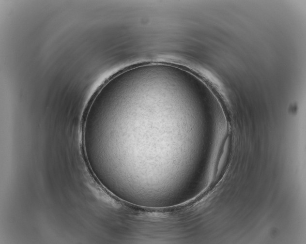 X0000090631280200707241144