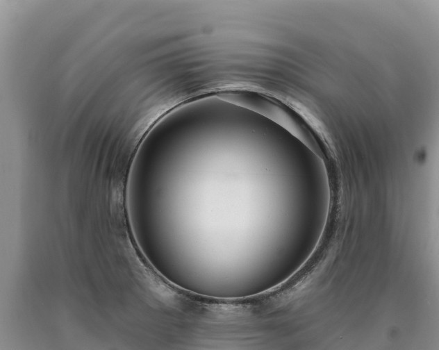 X0000090631281200707241144