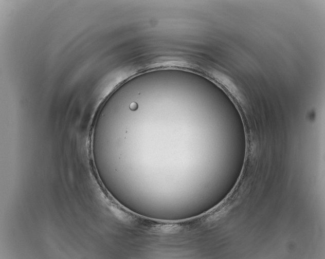 X0000090631282200707241144