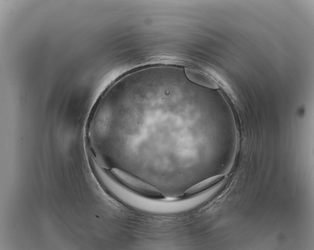 X0000090631283200707241144