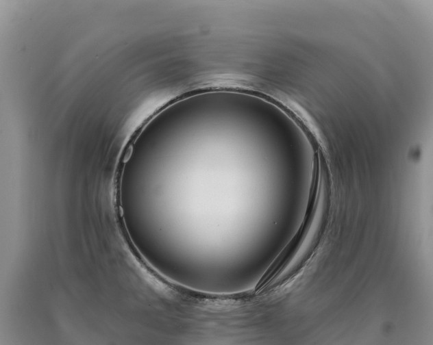 X0000090631285200707241144