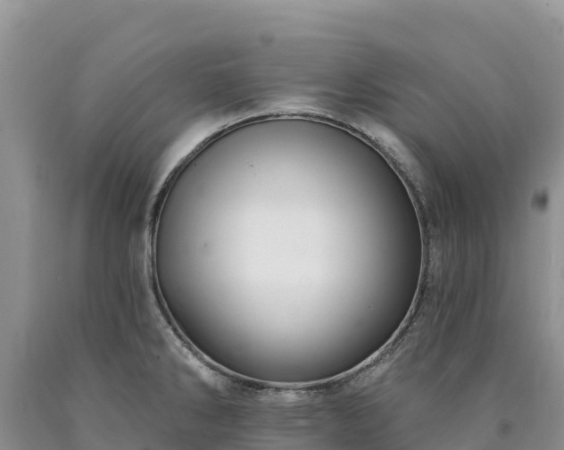 X0000090631286200707241144