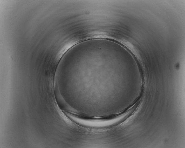 X0000090631289200707241144