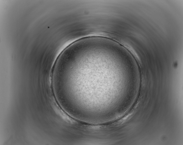 X0000090631292200707241144