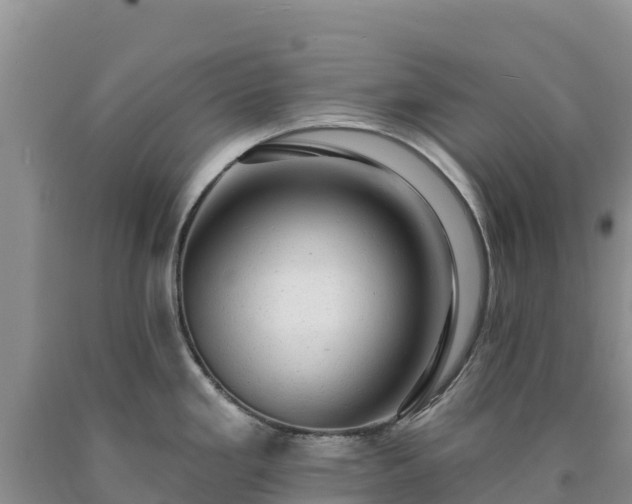 X0000090631293200707241144