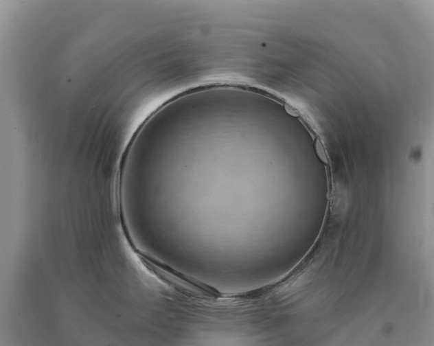 X0000090631295200707241144
