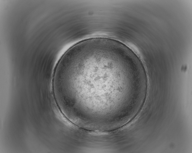 X0000090631296200707241143