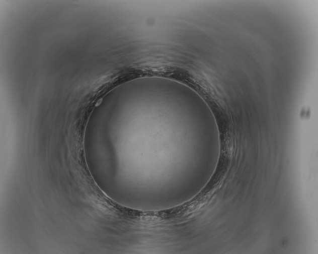 X0000090631297200707241143