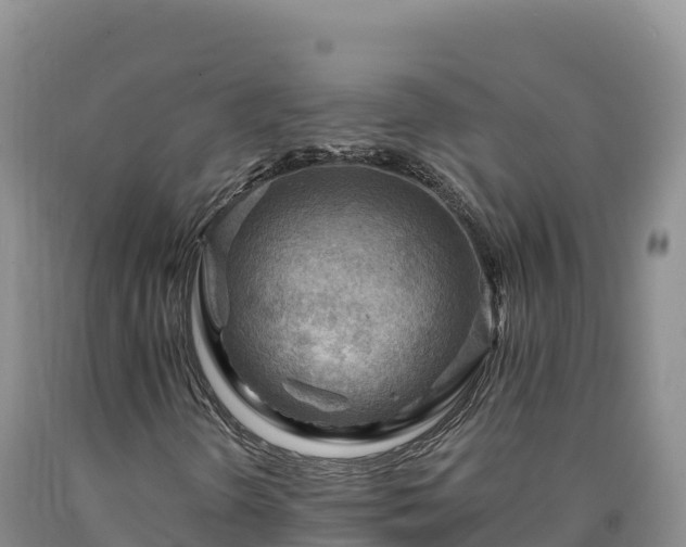 X0000090631298200707241143