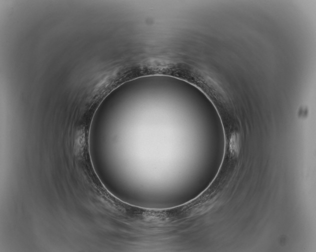 X0000090631299200707241143