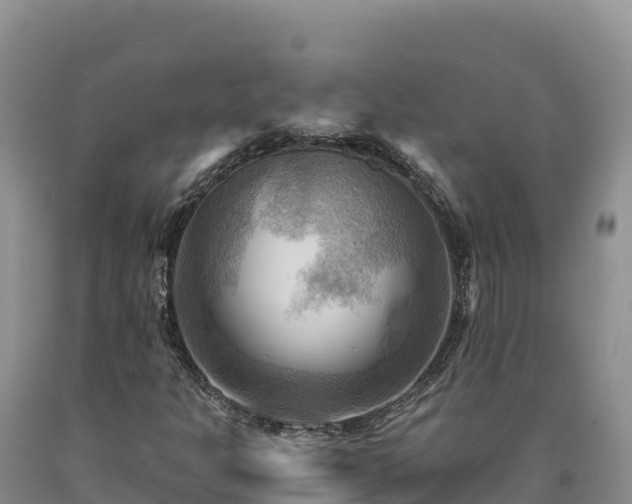 X0000090631301200707241143