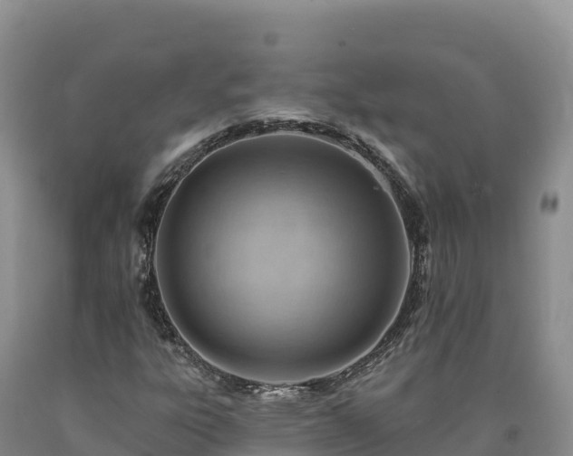 X0000090631303200707241143