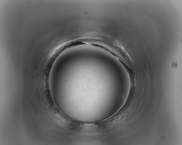 X0000090631304200707241143