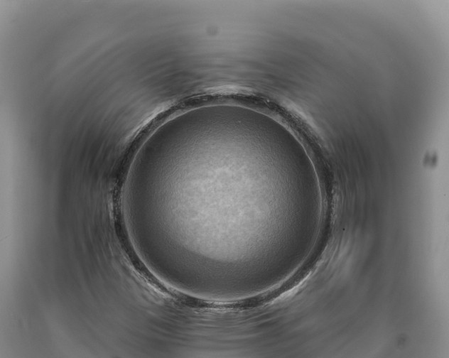X0000090631305200707241143