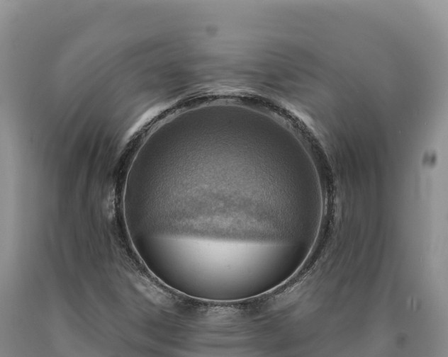 X0000090631306200707241143