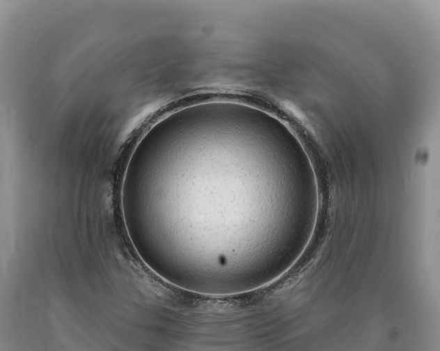 X0000090631307200707241143