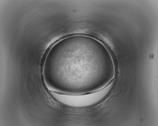 X0000090631308200707241143