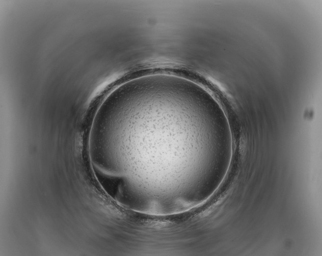 X0000090631309200707241143