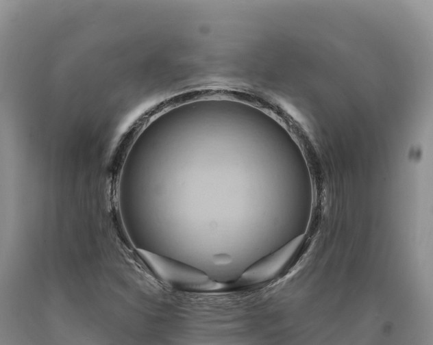 X0000090631310200707241143