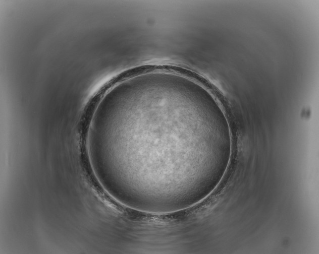 X0000090631311200707241143