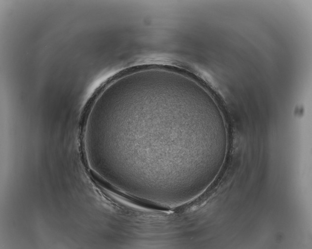 X0000090631312200707241143