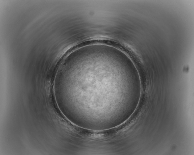 X0000090631313200707241143