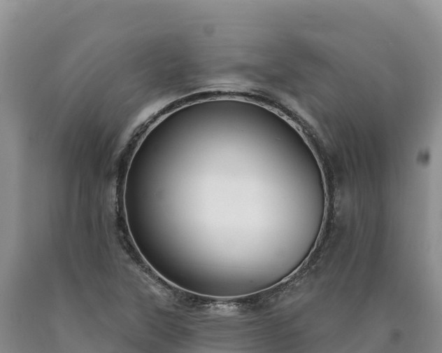 X0000090631315200707241143