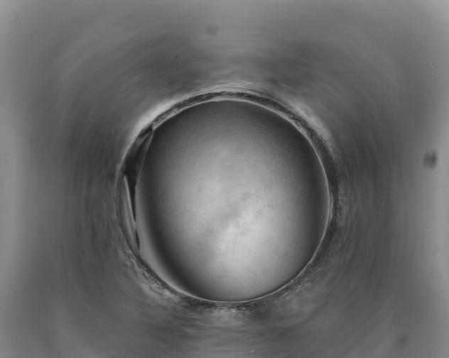 X0000090631316200707241143