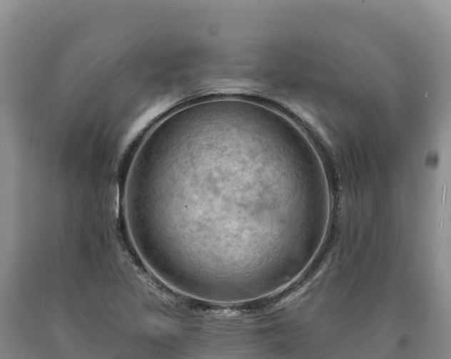X0000090631317200707241143