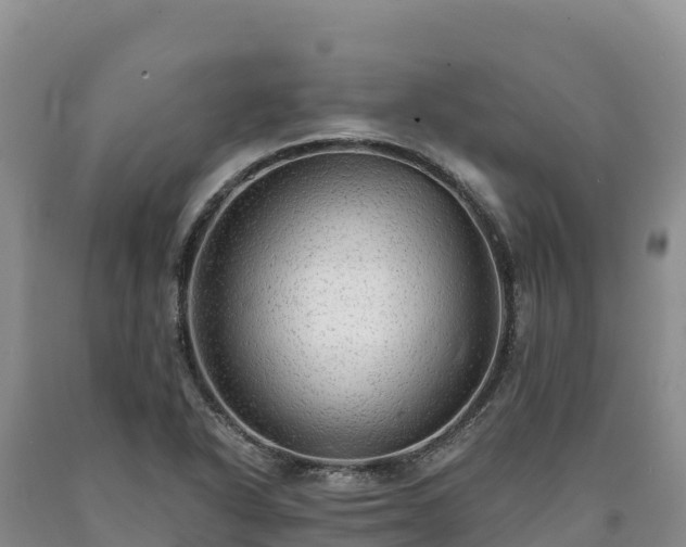 X0000090631318200707241143