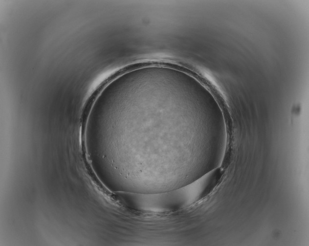 X0000090631320200707241143