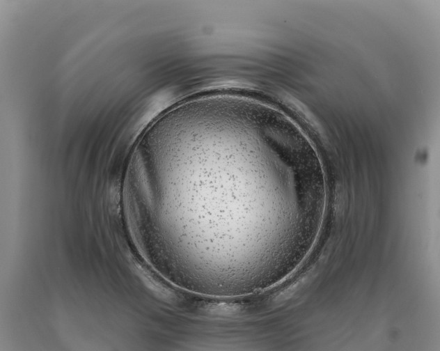X0000090631321200707241143