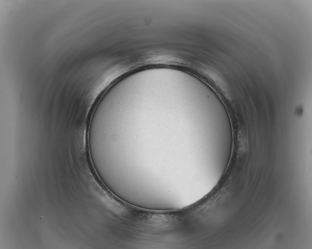 X0000090631322200707241143