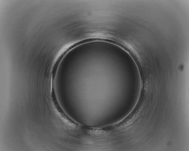 X0000090631323200707241143