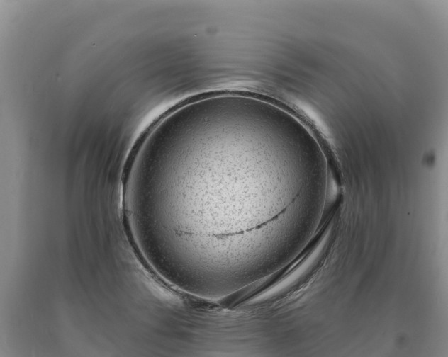 X0000090631324200707241143