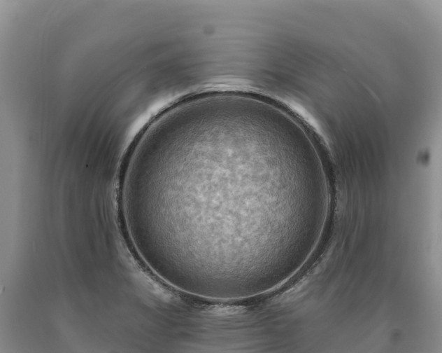 X0000090631325200707241143