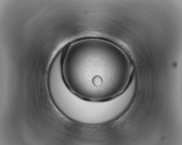 X0000090631326200707241143